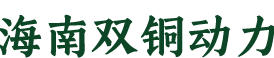 海南双铜动力科技有限公司